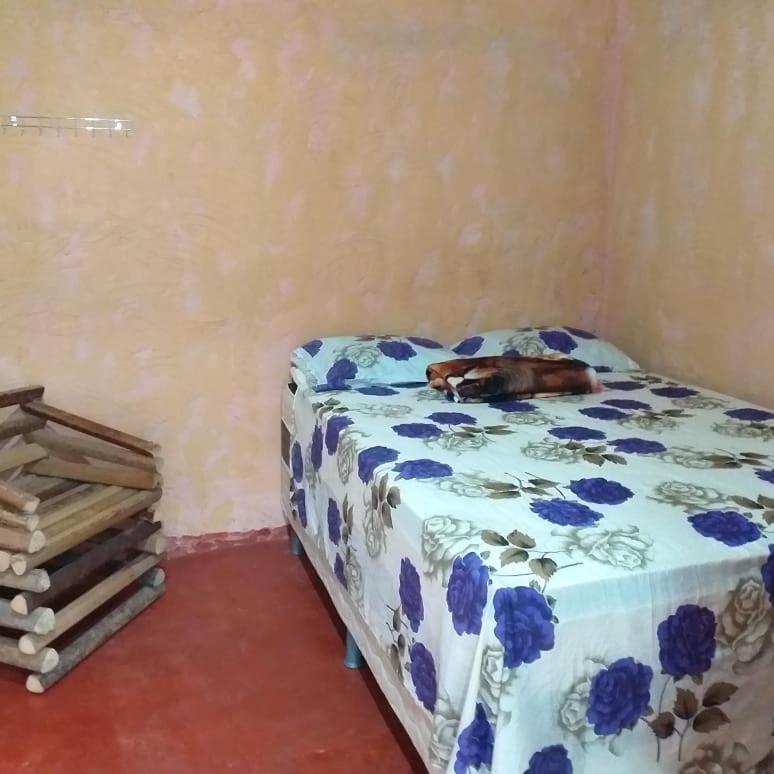 Refugio Raiz Camping Каролина Екстериор снимка