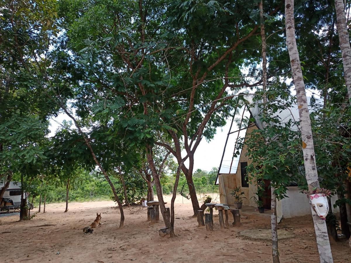 Refugio Raiz Camping Каролина Екстериор снимка