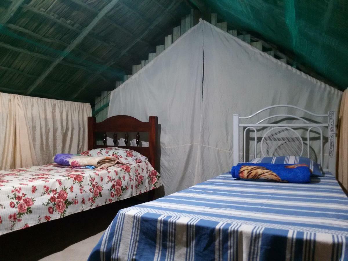 Refugio Raiz Camping Каролина Екстериор снимка